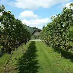 Bed & Breakfast Hofstede De Groote Laar Spankeren