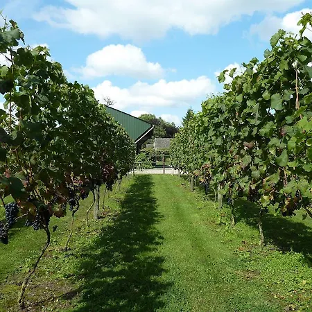 Frühstückspension Hofstede De Groote Laar Spankeren