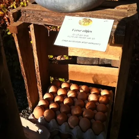 Frühstückspension Hofstede De Groote Laar