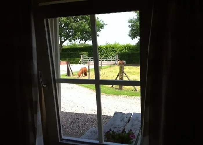 Hofstede De Groote Laar Bed & Breakfast Spankeren