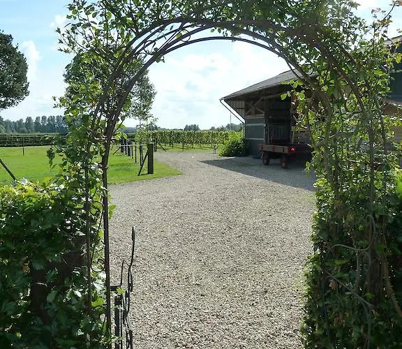 Bed & Breakfast Hofstede De Groote Laar