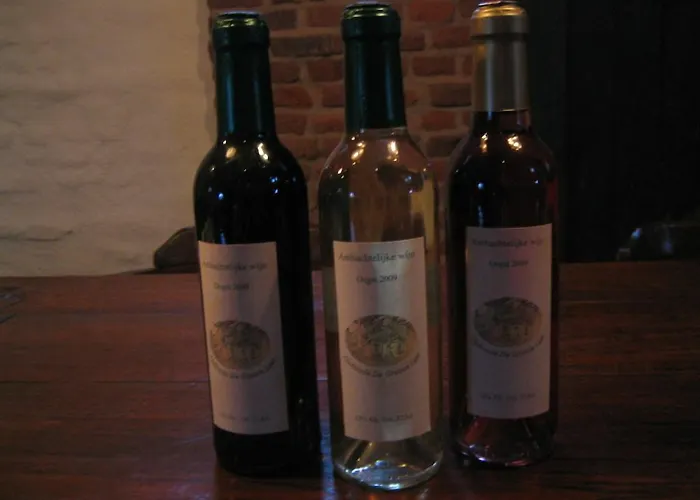 Hofstede De Groote Laar Spankeren