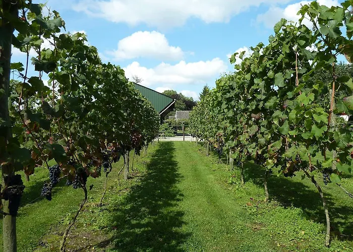 Bed & Breakfast Hofstede De Groote Laar Spankeren