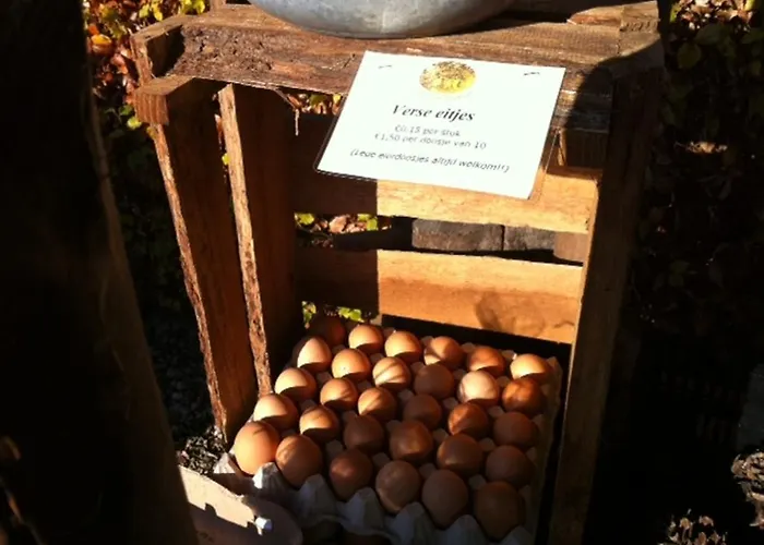 Bed & Breakfast Hofstede De Groote Laar